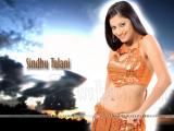 Sindhu Tolani